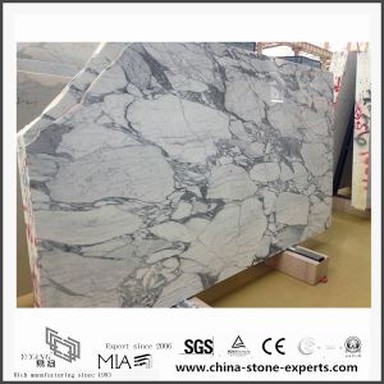 بهترین و ایتالیایی سفید Arabescato دال سنگ مرمر برای آشپزخانه و حمام طراحی